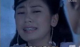 贾静雯爆料苏有朋视频,背后真相令人震惊